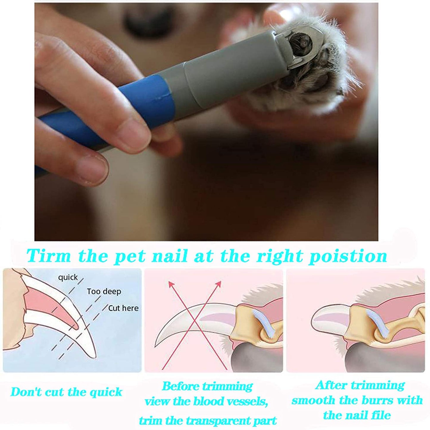 Pet Nail Clipper With Safety Guard & Nail File