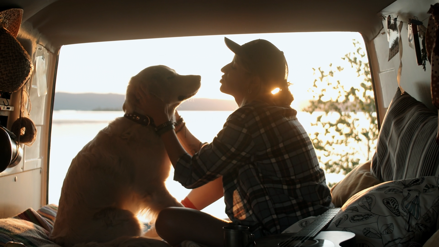 Pet Care Beyond the Home: Grooming Tips for Outdoor Adventures