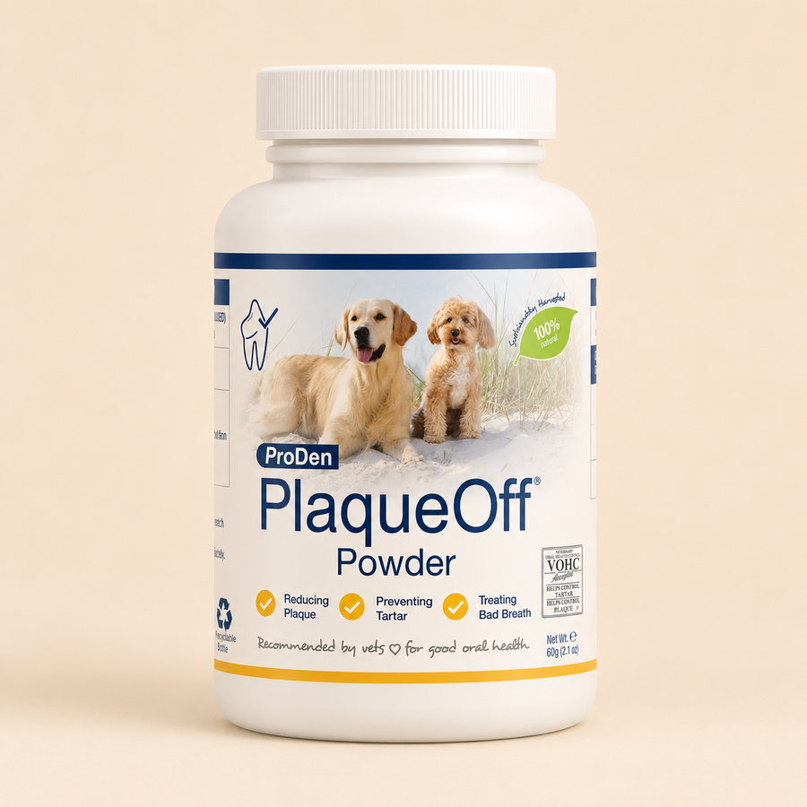 Gift Picks For Gentle Pets