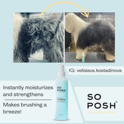 Bi-Phase Dog Detangling Spray For Soft Coats