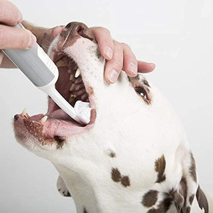 Dog Toothbrush Starter Kit For Clean Teeth