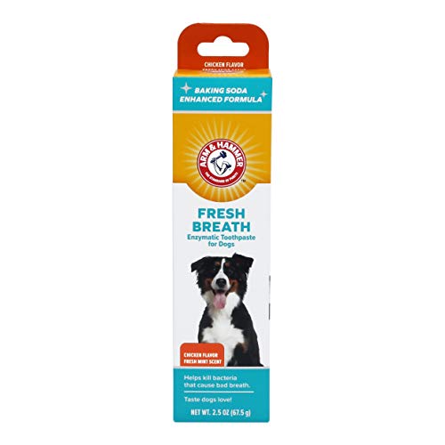Enzymatic Dog Toothpaste For Gum Care