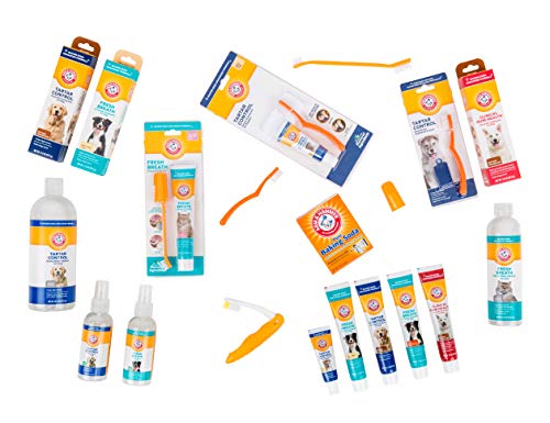 Enzymatic Dog Toothpaste For Gum Care