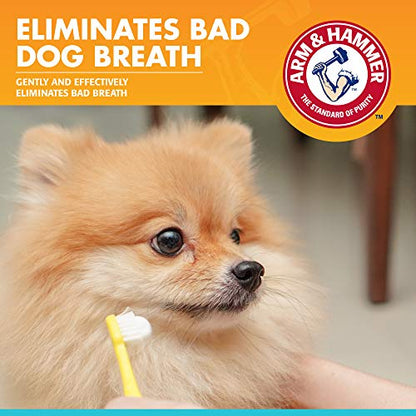 Enzymatic Dog Toothpaste For Gum Care