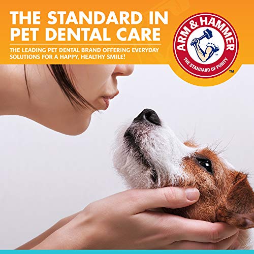 Enzymatic Dog Toothpaste For Gum Care
