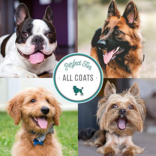 Detangling Pet Spray For Smooth Soft Coats