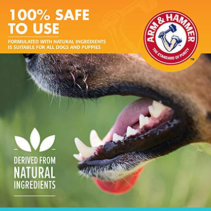 Enzymatic Dog Toothpaste For Gum Care