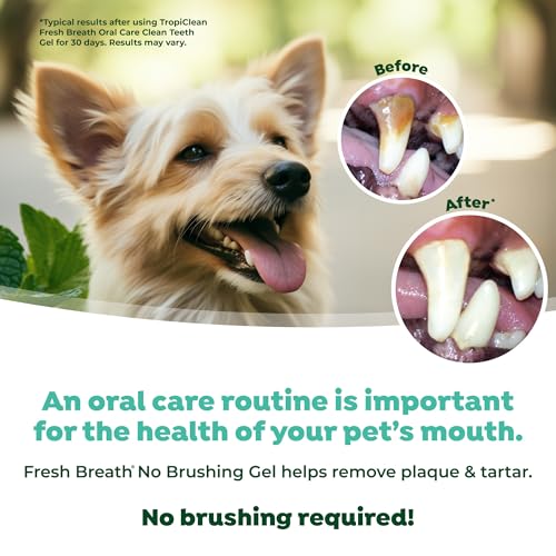 No-Brush Dental Gel For Fresh Dog Breath