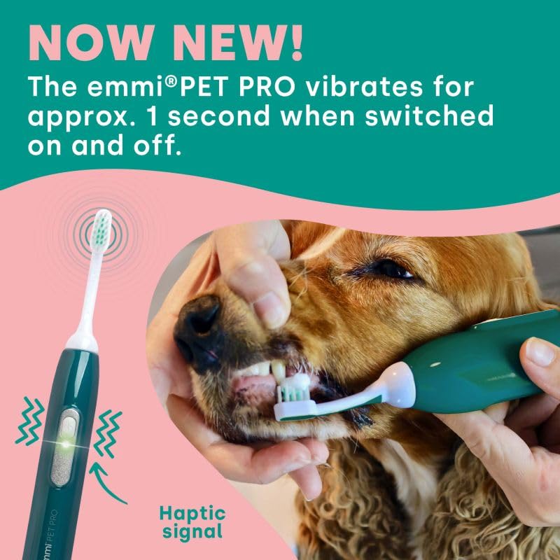 Ultrasonic Pet Toothbrush For Fresh Breath