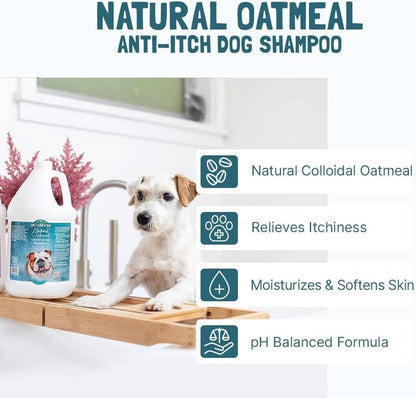 Bio-Groom Oatmeal Dog Shampoo