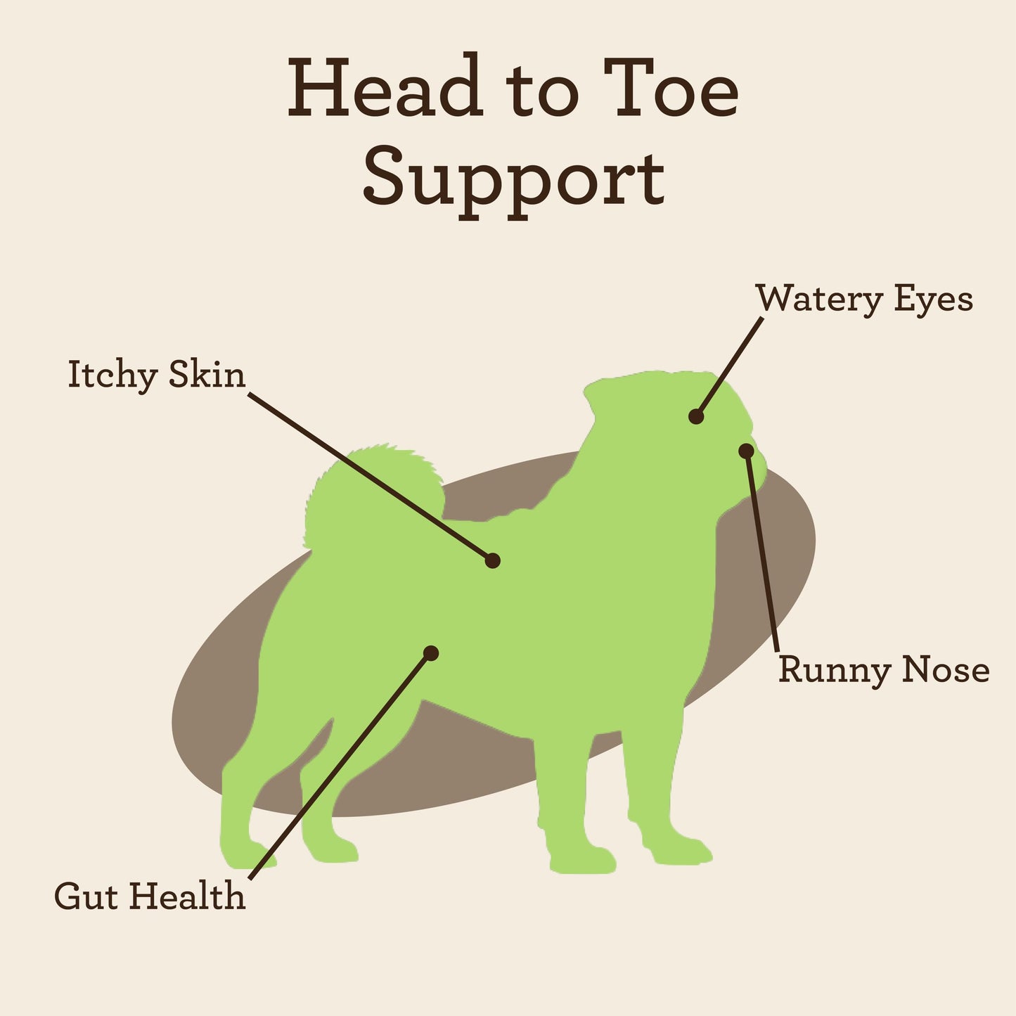 VetPro Complete Allergy Parent