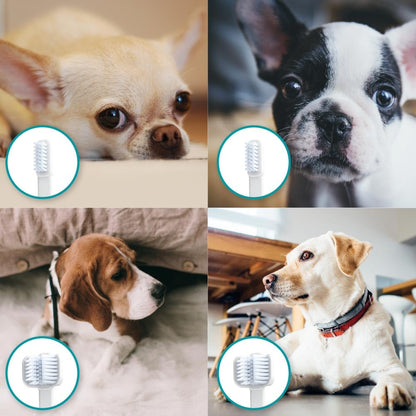 Dog Toothbrush Starter Kit For Clean Teeth