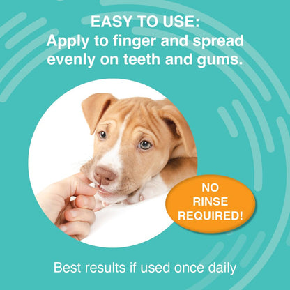 Nootie Medicated Dental Wipes for Dogs