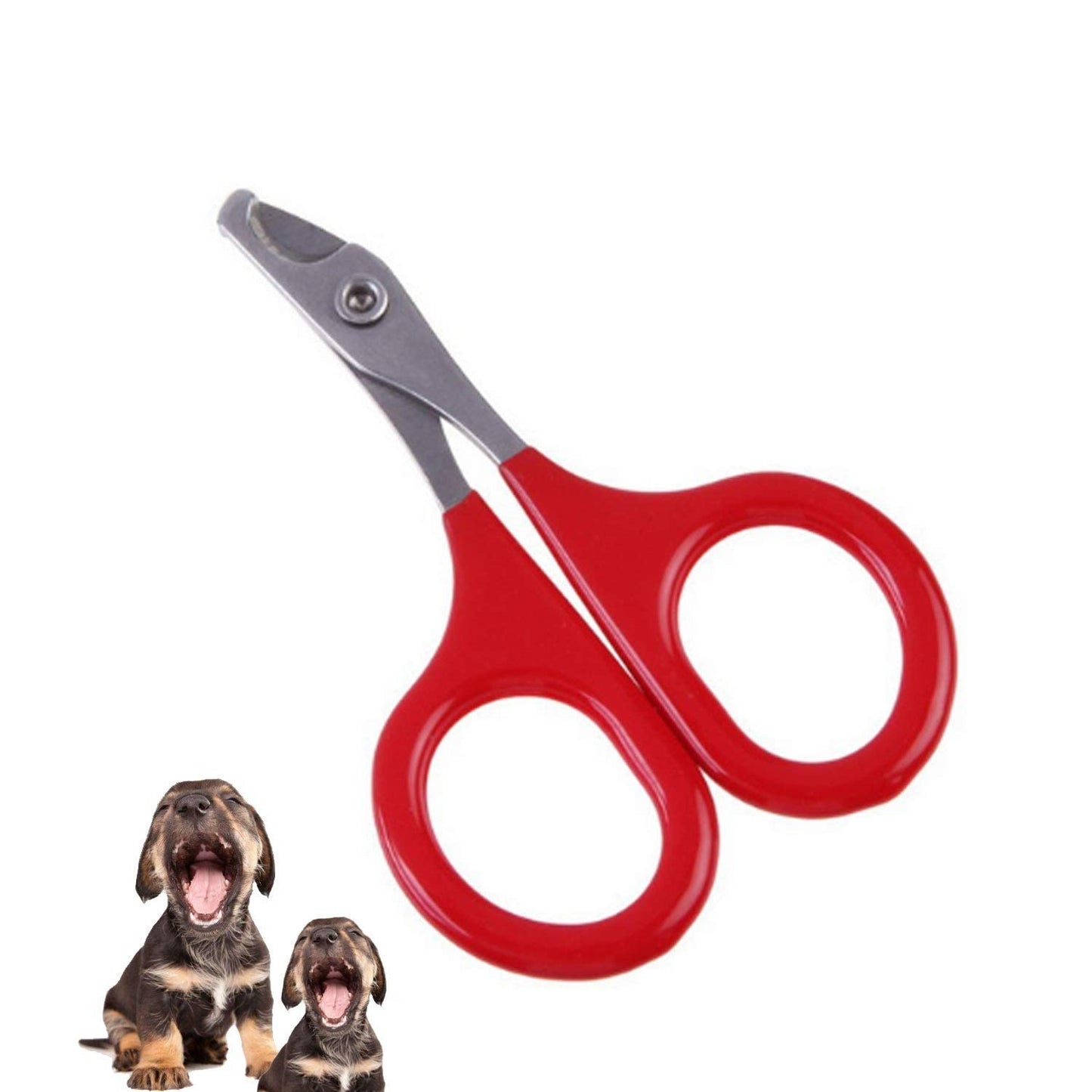 10-Pack Pet Nail Clippers & Grooming Scissors