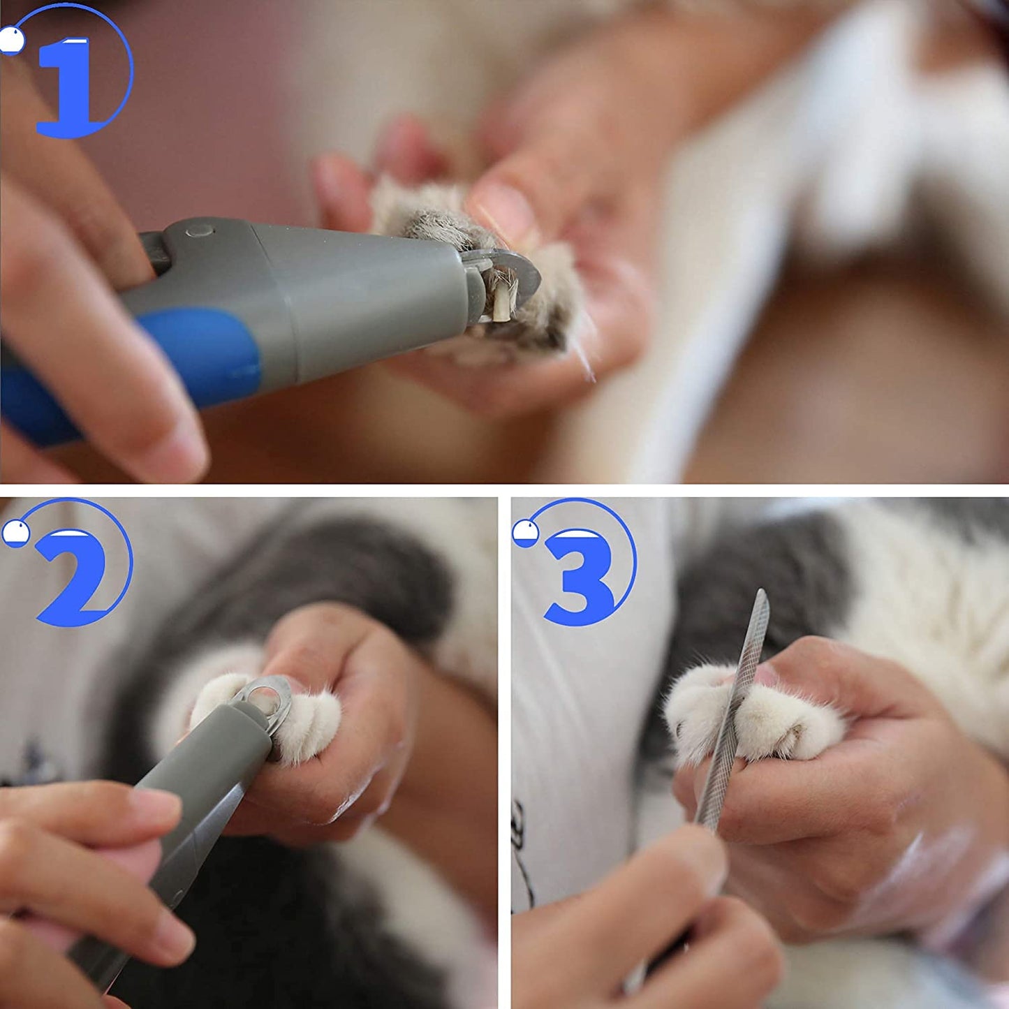 Pet Nail Clipper With Safety Guard & Nail File