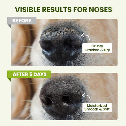 Lick-Safe Paw & Nose Balm For Dry Pads