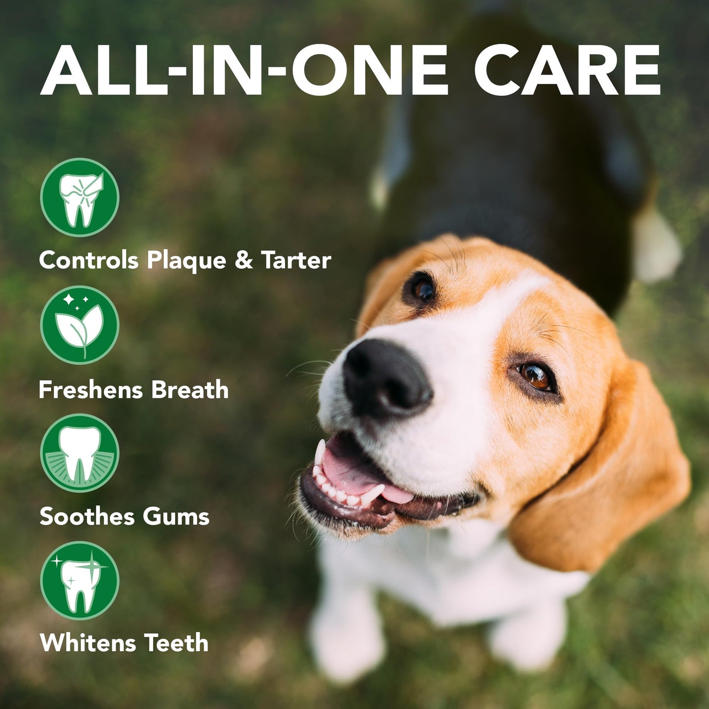 Enzymatic Dog Toothpaste For Fresh Breath Care