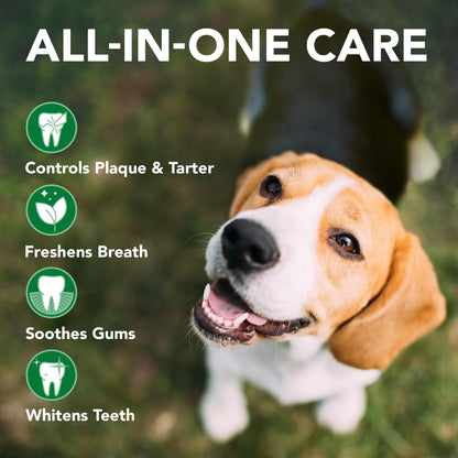 Enzymatic Dog Toothpaste For Fresh Breath Care