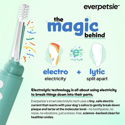 Electrolytic Dog Toothbrush For Plaque Removal