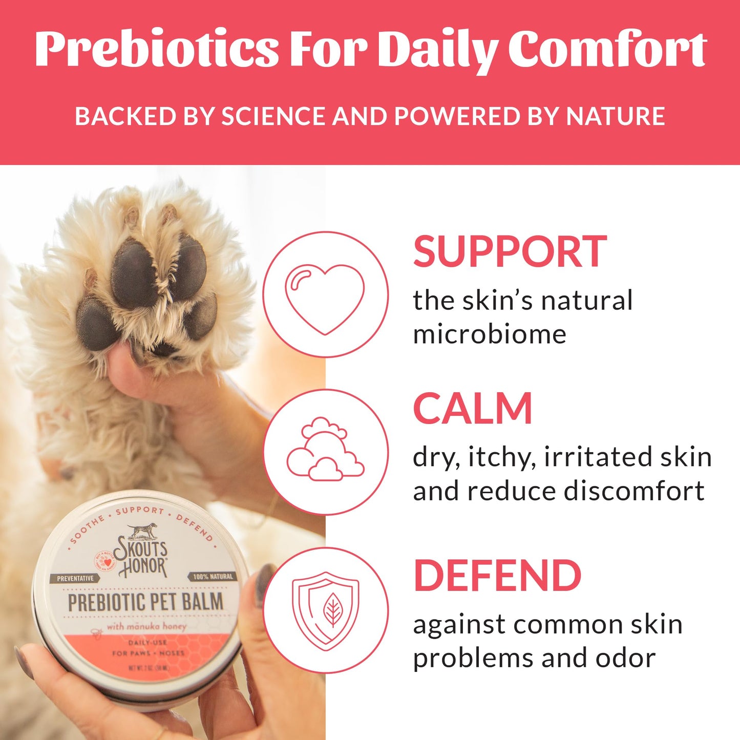 Prebiotic Pet Balm For Dry Paws & Noses