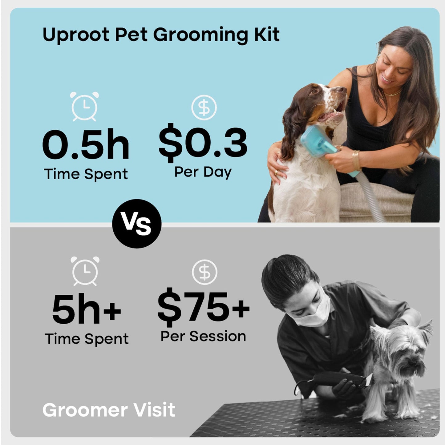 Complete Pet Grooming Kit With Deshedding Tools