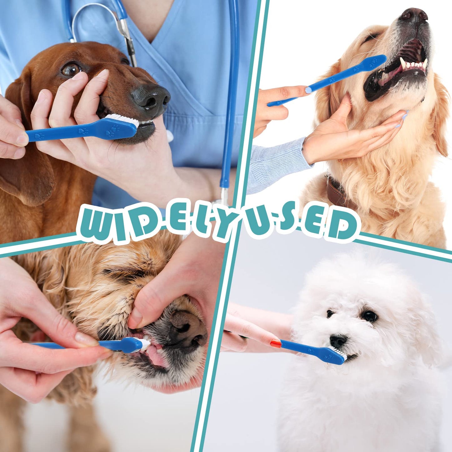 Double Head Pet Toothbrush Set For Daily Care