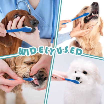 Double Head Pet Toothbrush Set For Daily Care