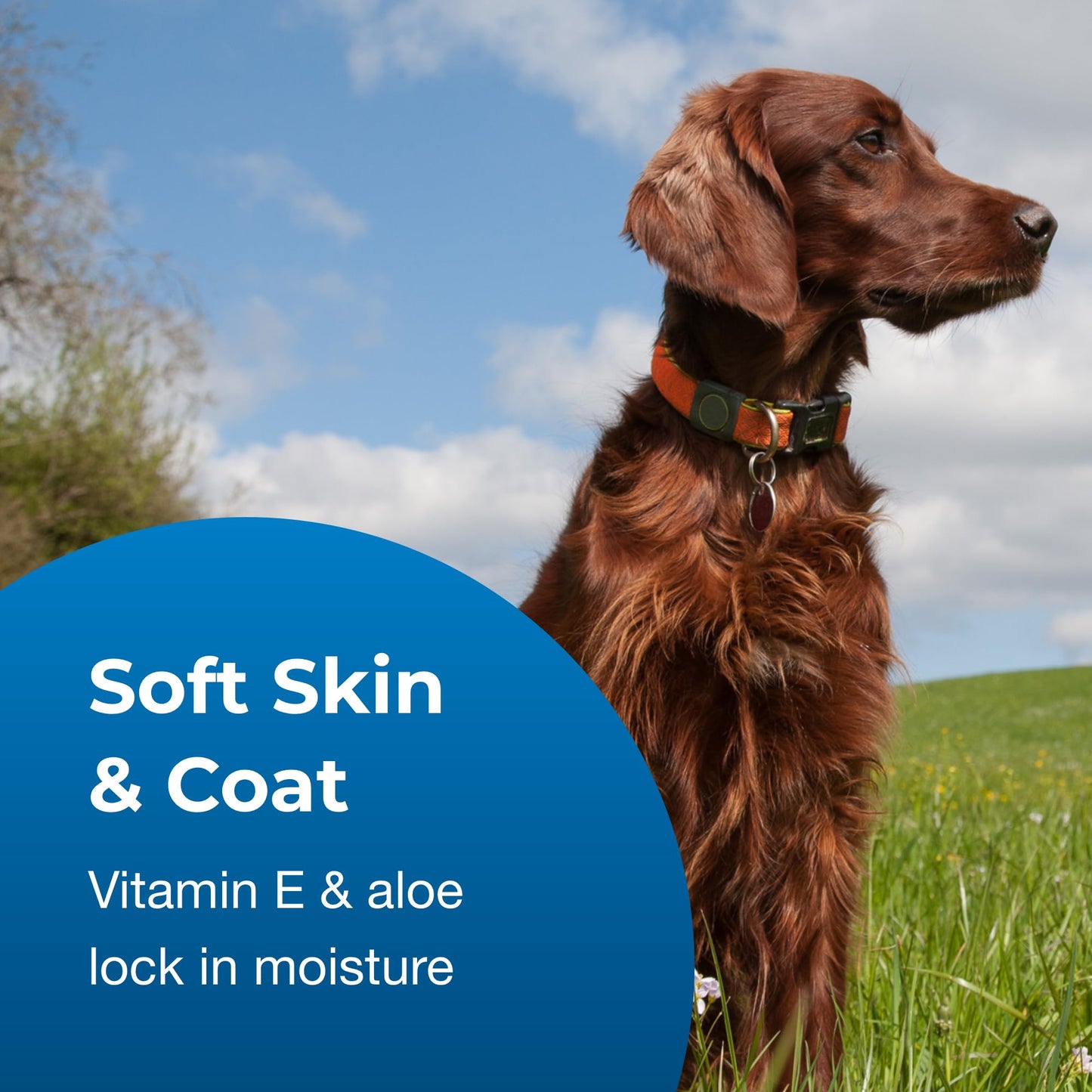 Moisturizing Pet Shampoo For Soft Healthy Coats