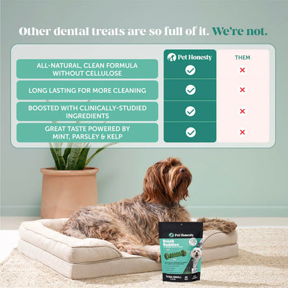 Natural Dental Sticks For Cleaner Dog Teeth