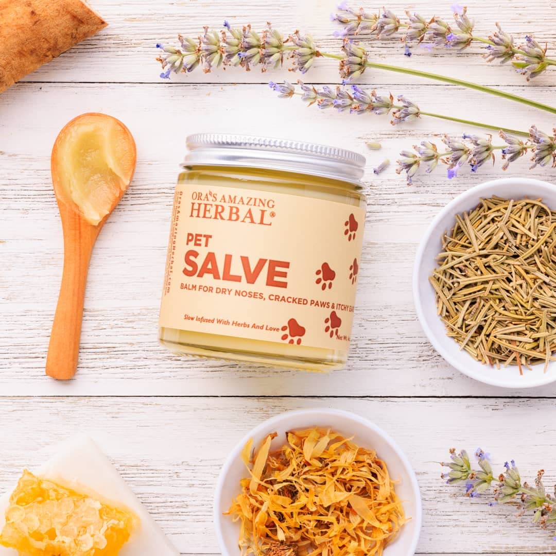 Herbal Pet Salve For Paws, Nose & Hot Spots