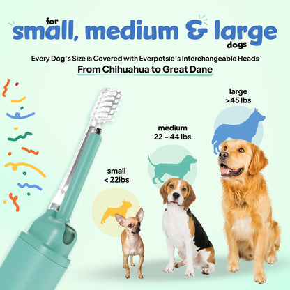Electrolytic Dog Toothbrush For Plaque Removal