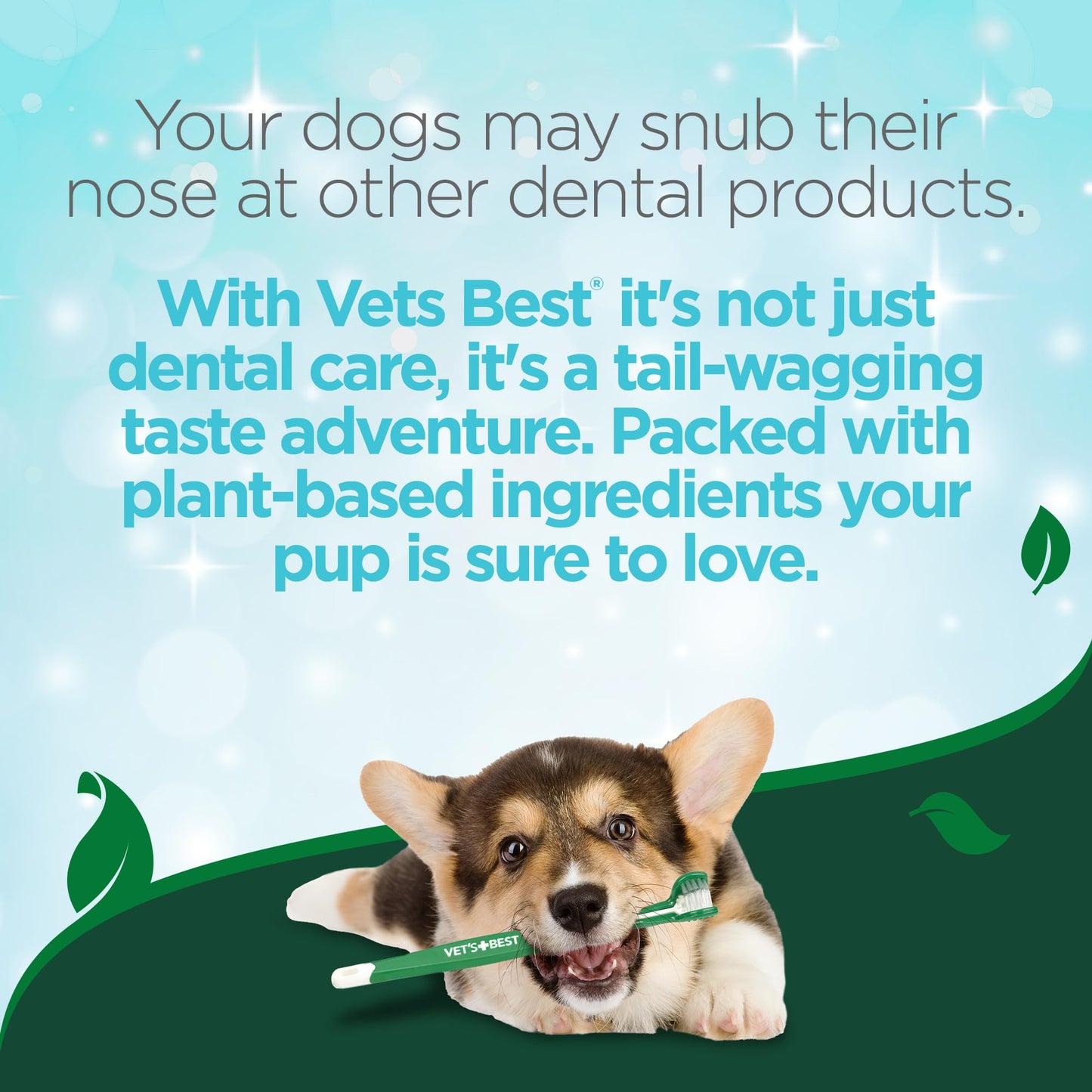 Enzymatic Dog Toothpaste For Fresh Breath Care