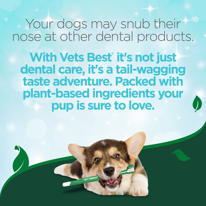 Enzymatic Dog Toothpaste For Fresh Breath Care