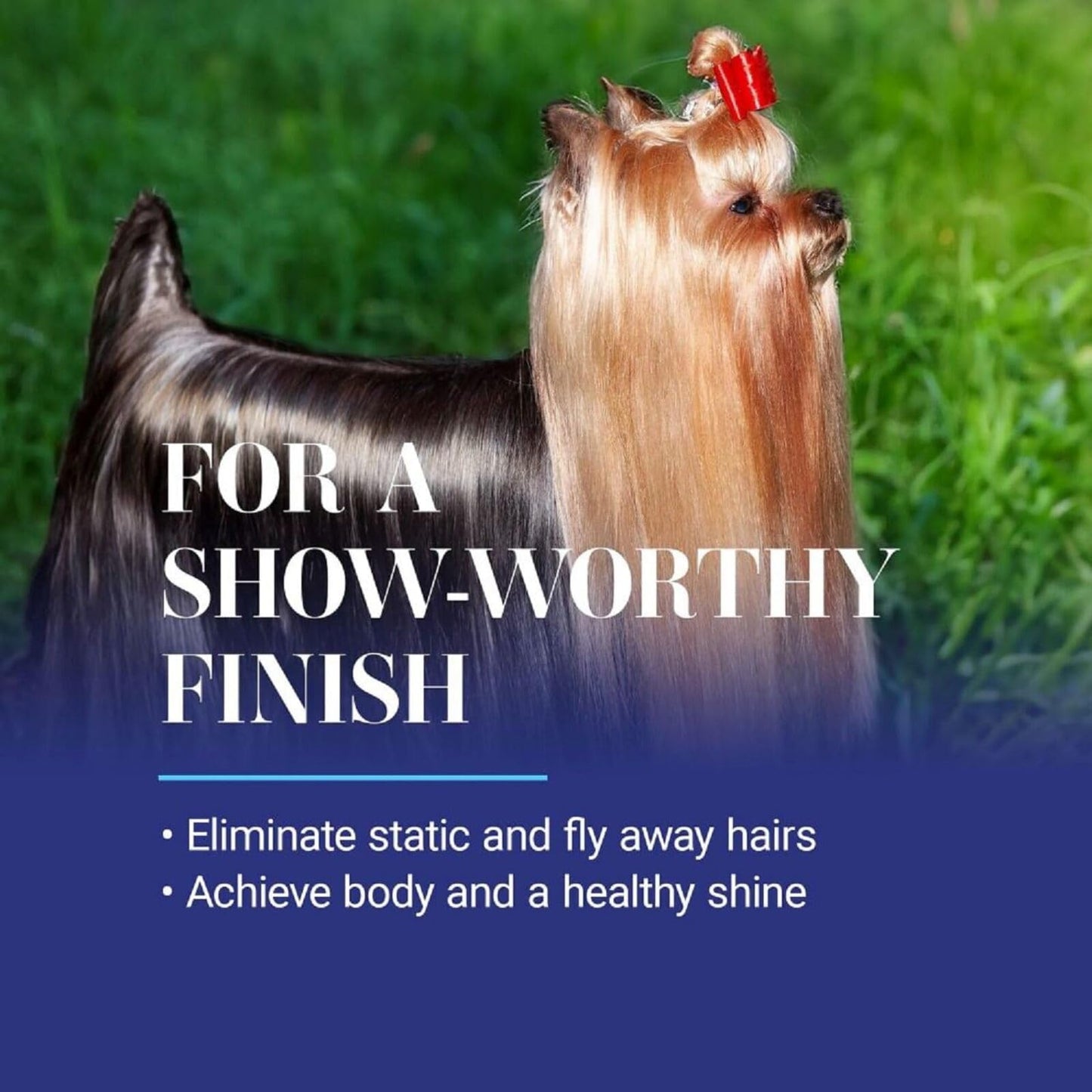 Professional Dog Detangling Spray For All Coats