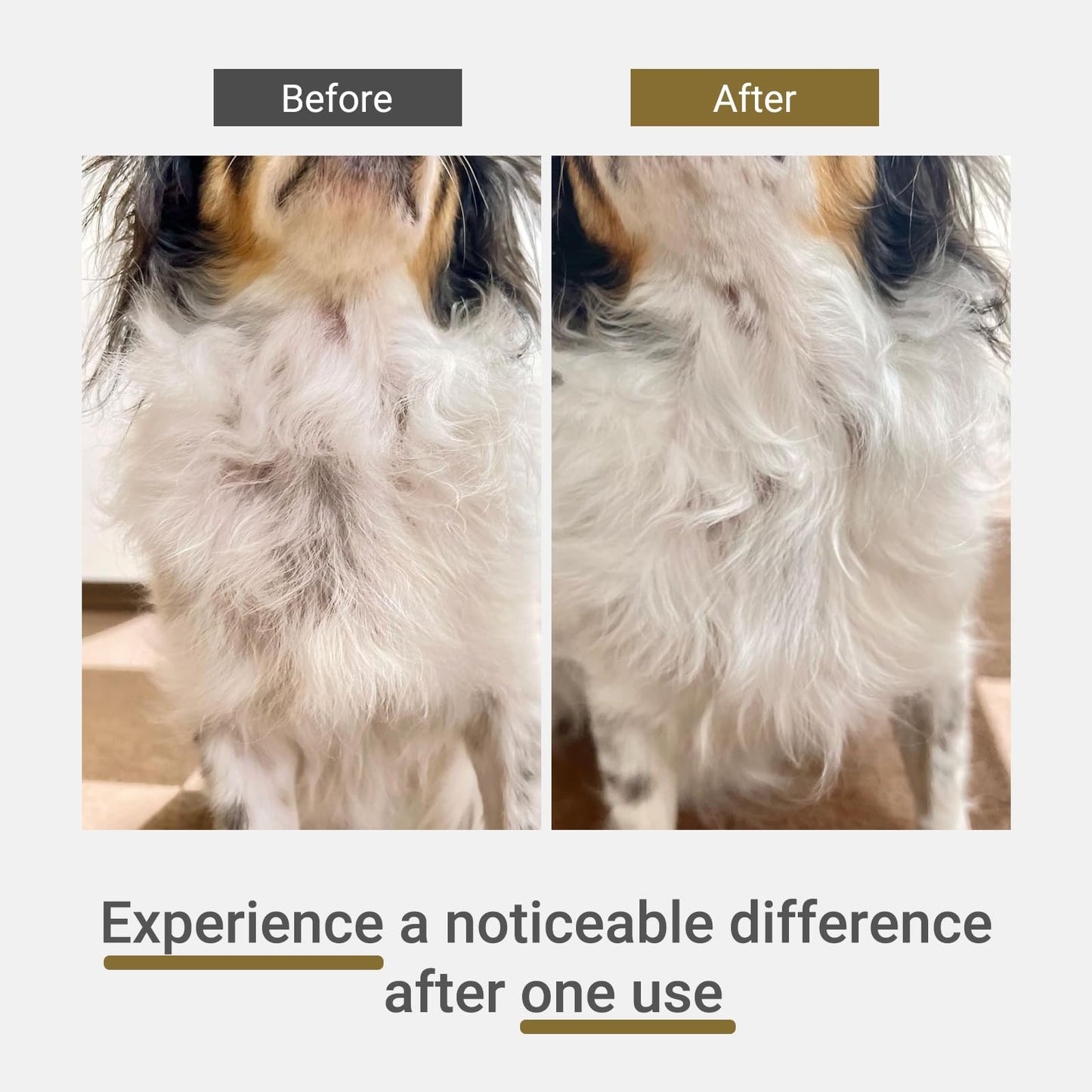Moisturizing Pet Lotion For Dry & Itchy Skin
