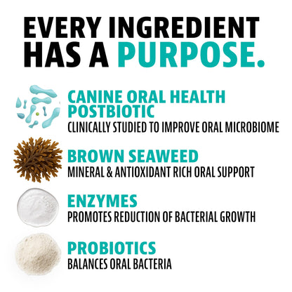 Brush-Free Dental Powder For Fresh Pet Breath