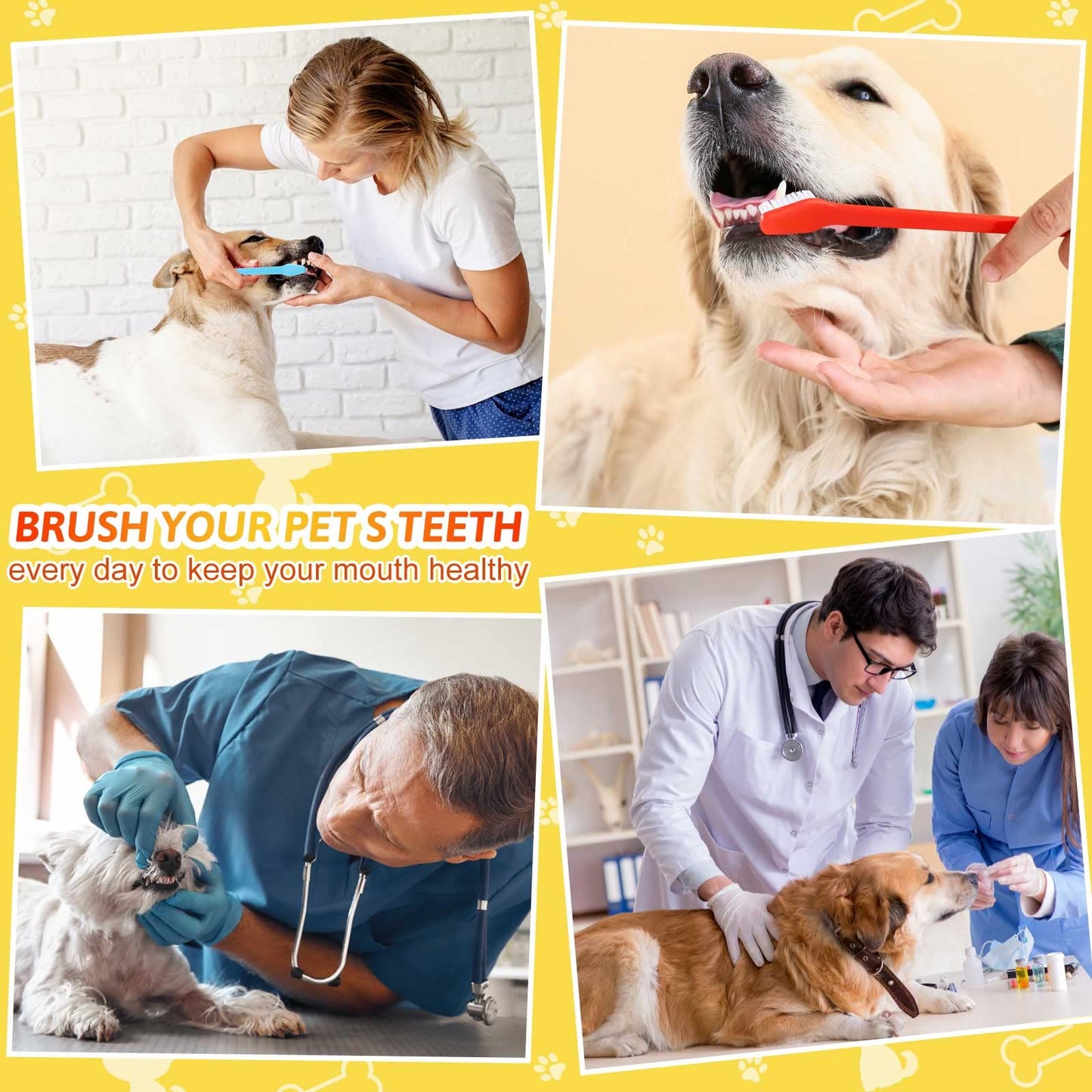 Dual Head Pet Toothbrush Kit For Daily Care
