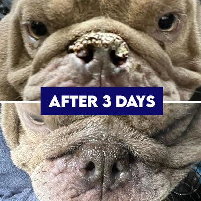 Natural Nose & Paw Balm For Dry Pet Skin