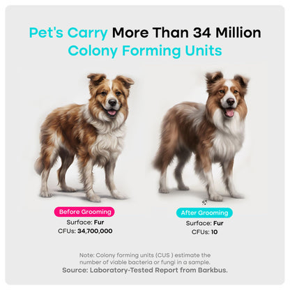 Complete Pet Grooming Kit With Deshedding Tools
