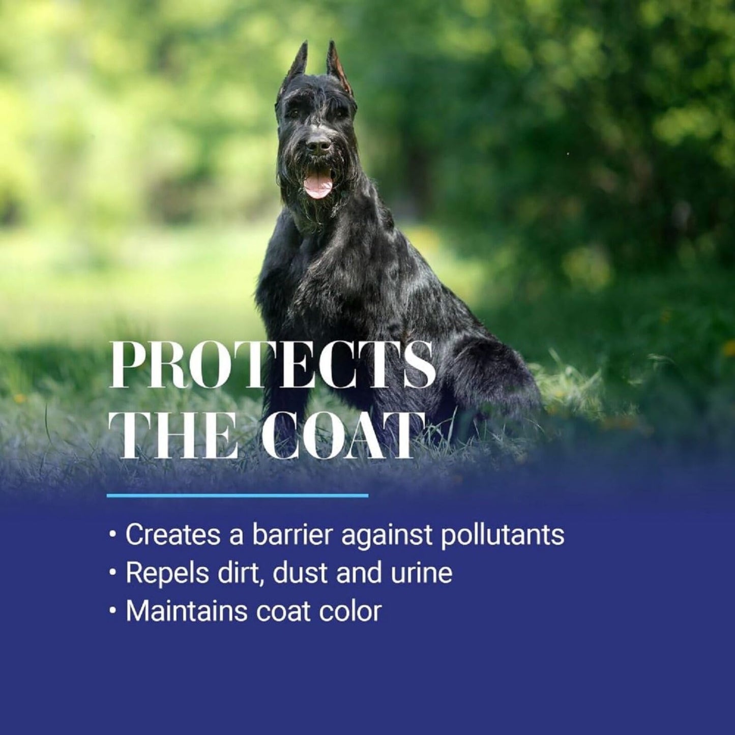 Professional Dog Detangling Spray For All Coats