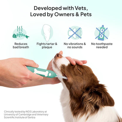 Silent Dog Toothbrush For Advanced Oral Care