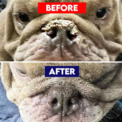 Natural Nose & Paw Balm For Dry Pet Skin