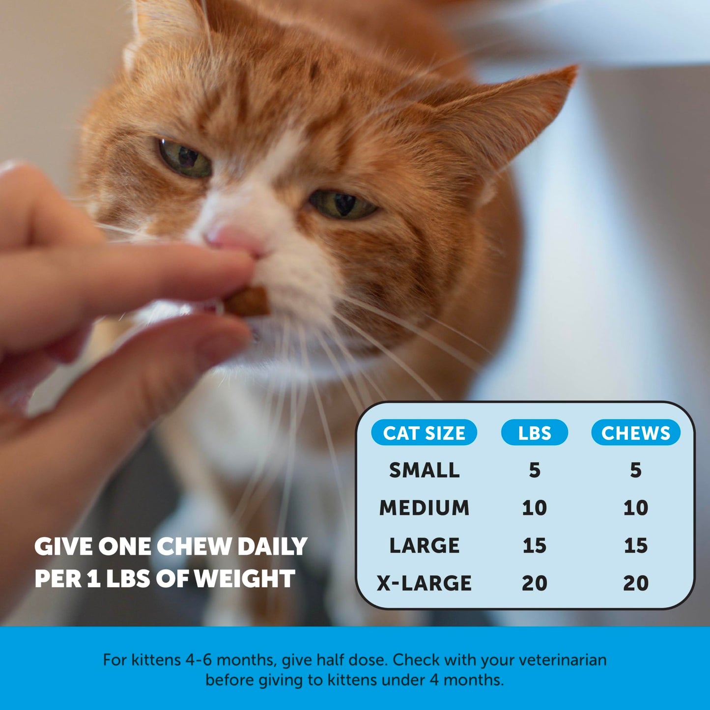 Omega-3 Fish Oil For Skin & Coat Support