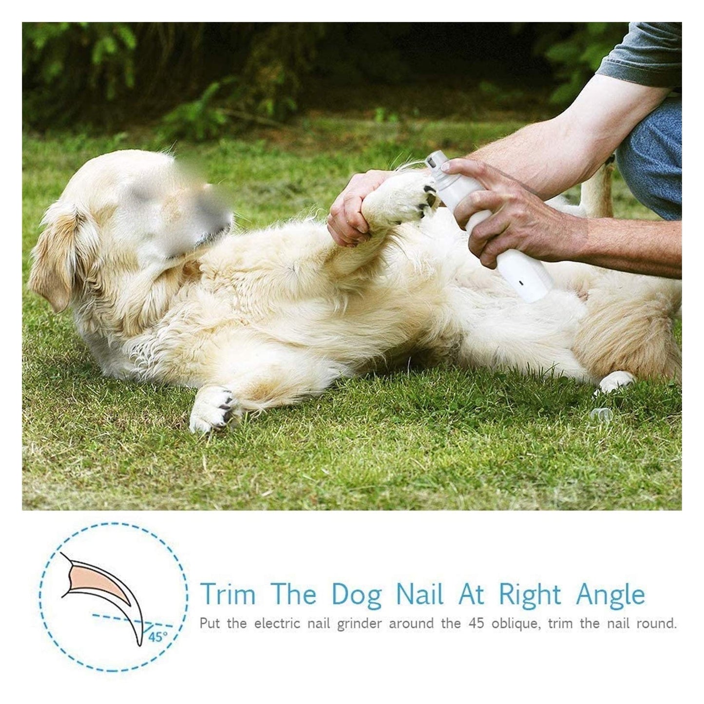 Quiet Pet Nail Grinder & Clipper For All Sizes