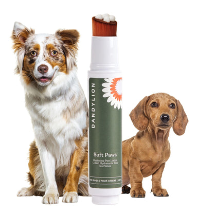Daily Paw Care Kit With Cleaner & Lotion