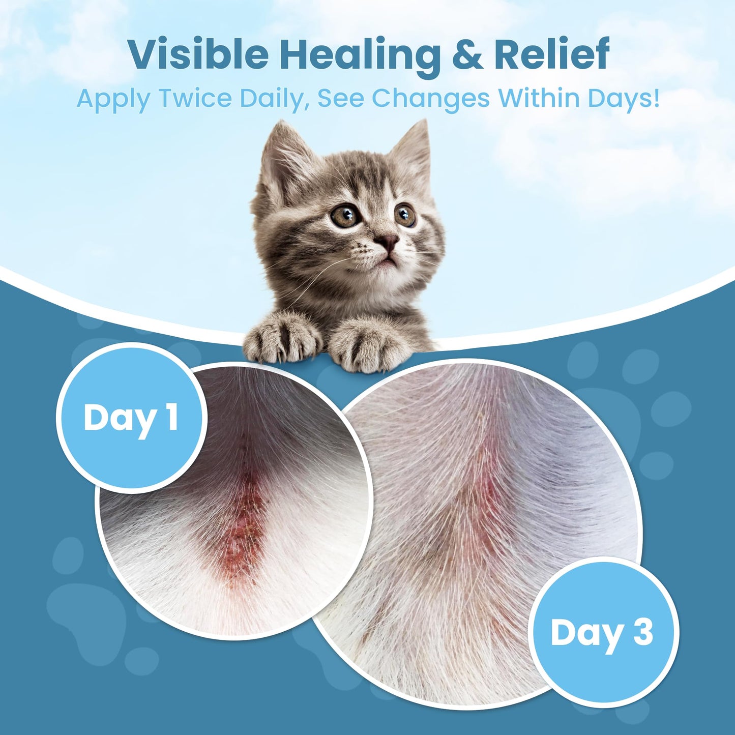 Cat Paw Balm For Dry Skin & Hot Spot Relief
