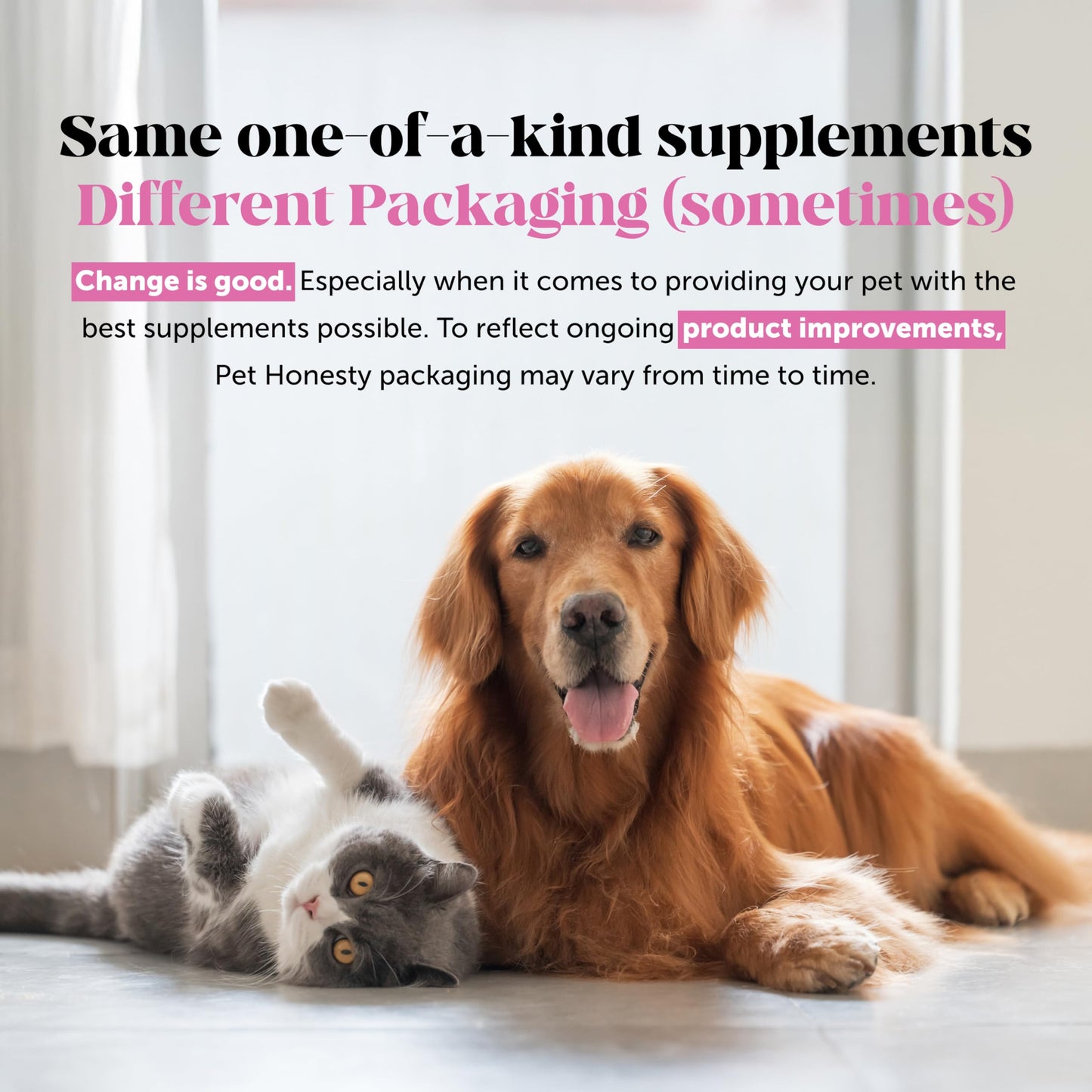 Anti Itch Pet Shampoo For Sensitive Skin