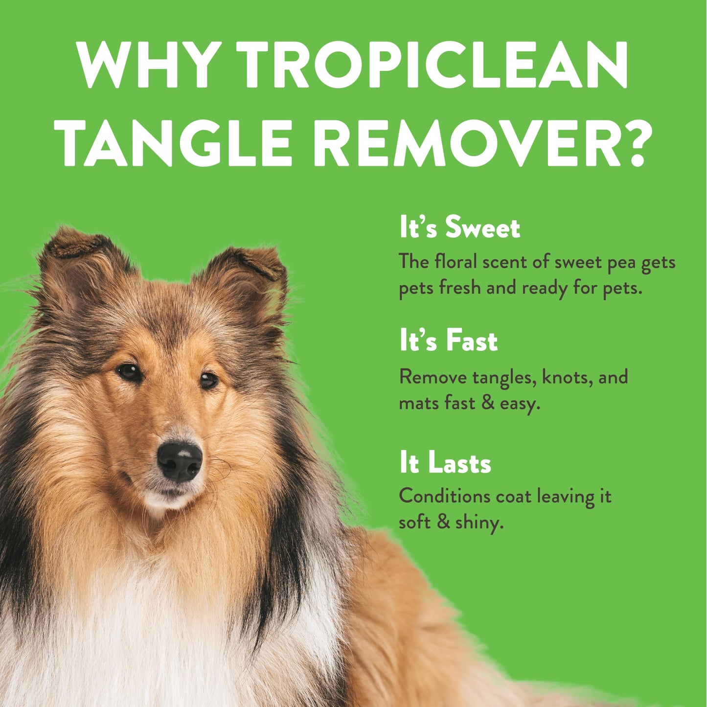 Natural Pet Detangler Spray For Smooth Coats