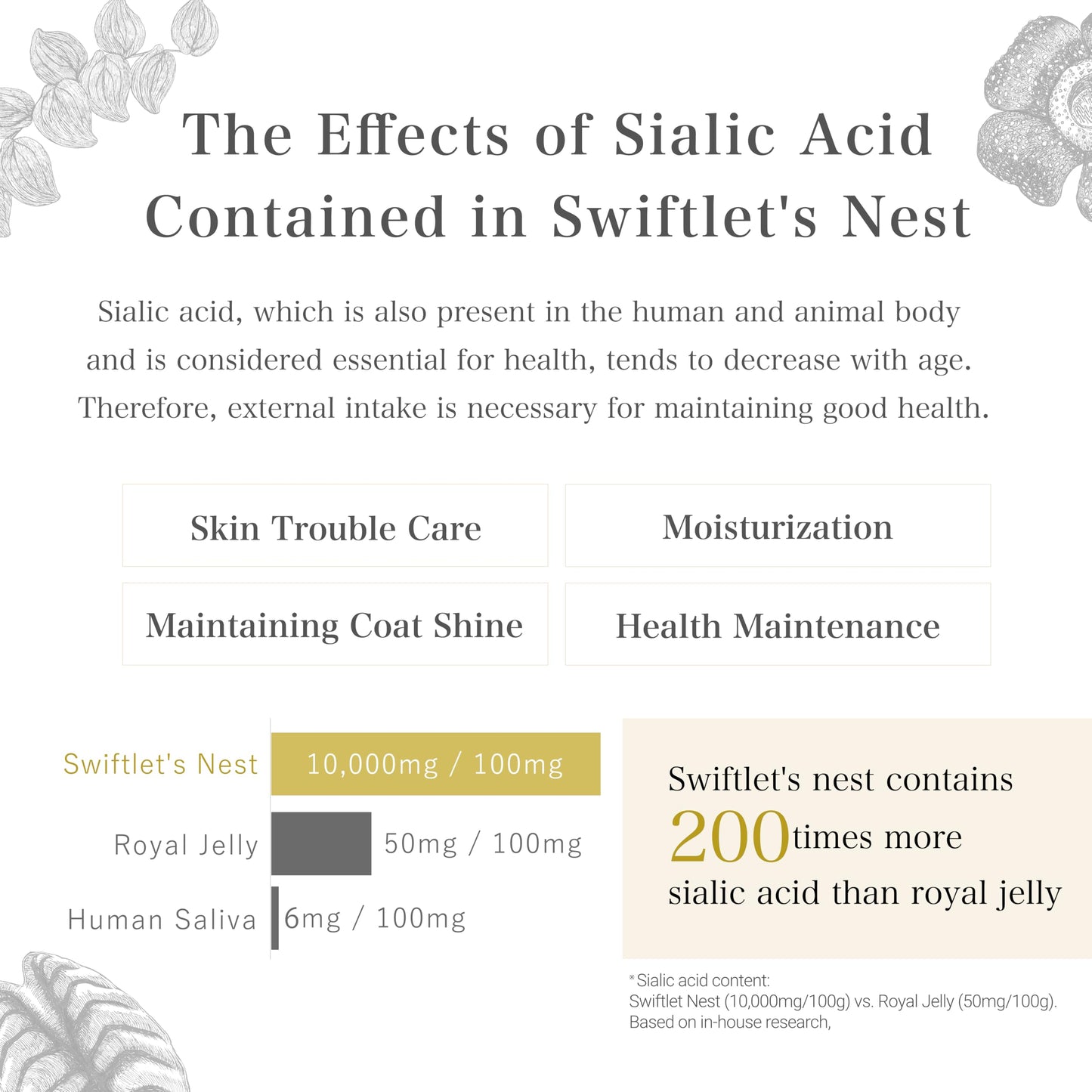 Moisturizing Pet Lotion For Dry & Itchy Skin
