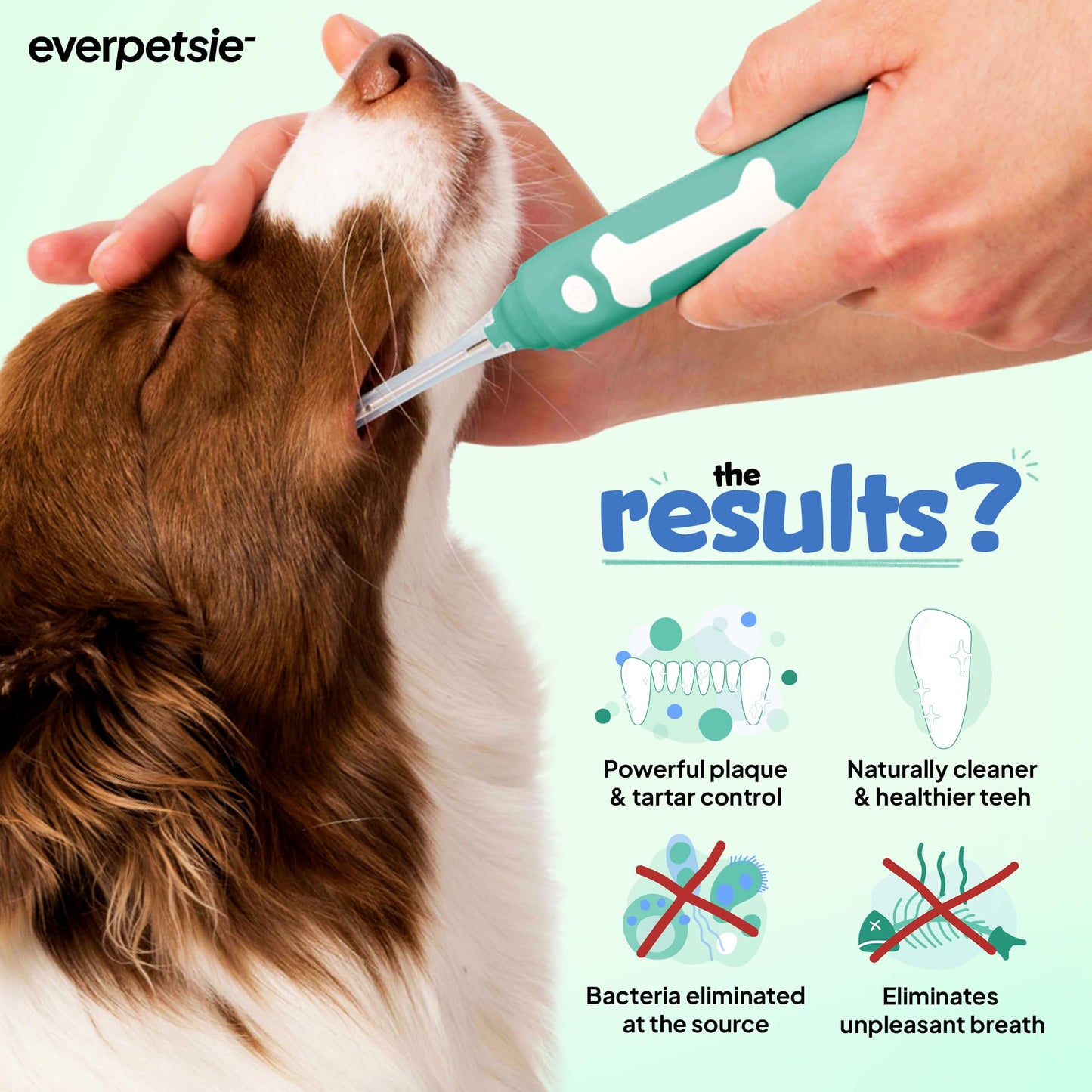 Electrolytic Dog Toothbrush For Plaque Removal
